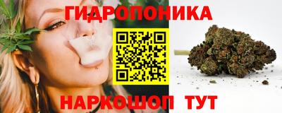 спиды Лесосибирск