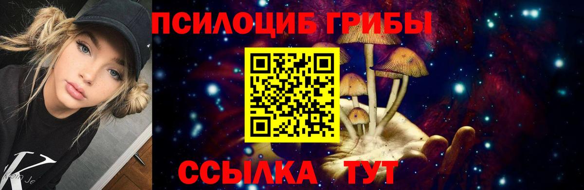 Псилоцибиновые грибы мицелий  Вход с VPN  Зеленогорск 